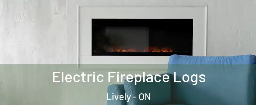  Electric Fireplace Logs Lively - ON