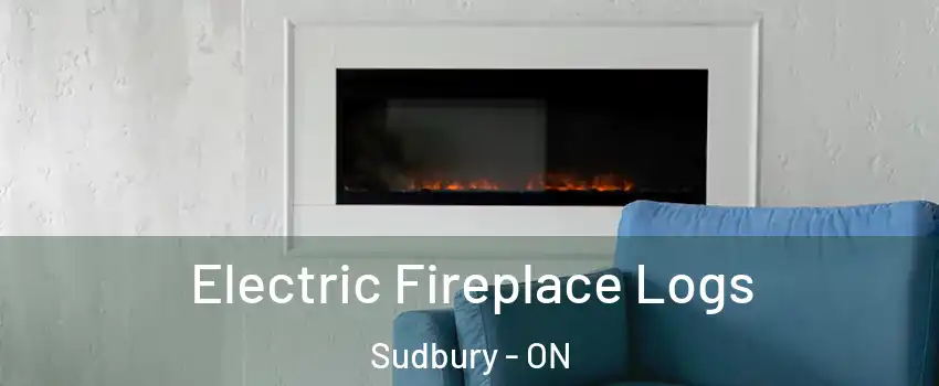  Electric Fireplace Logs Sudbury - ON