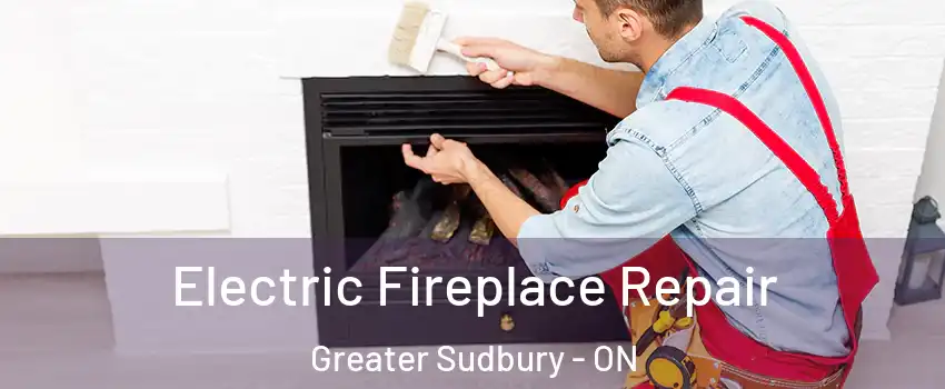  Electric Fireplace Repair Greater Sudbury - ON