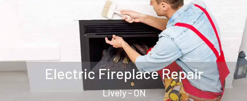  Electric Fireplace Repair Lively - ON