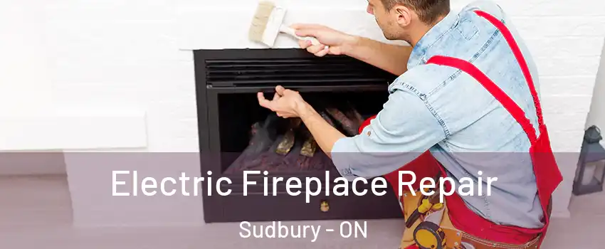  Electric Fireplace Repair Sudbury - ON