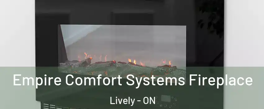 Empire Comfort Systems Fireplace Lively - ON