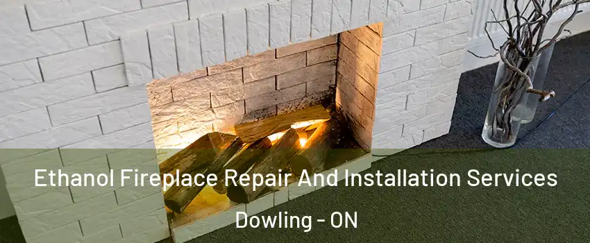  Ethanol Fireplace Repair And Installation Services Dowling - ON