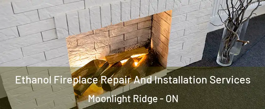  Ethanol Fireplace Repair And Installation Services Moonlight Ridge - ON