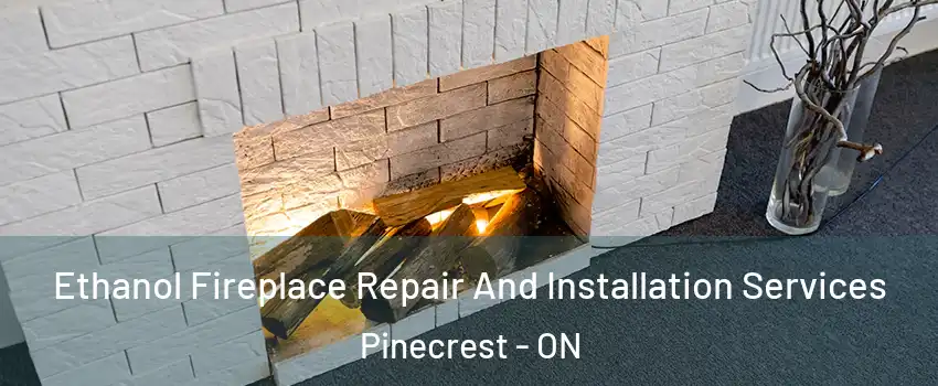  Ethanol Fireplace Repair And Installation Services Pinecrest - ON