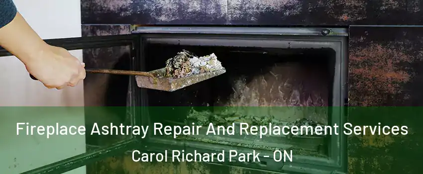  Fireplace Ashtray Repair And Replacement Services Carol Richard Park - ON