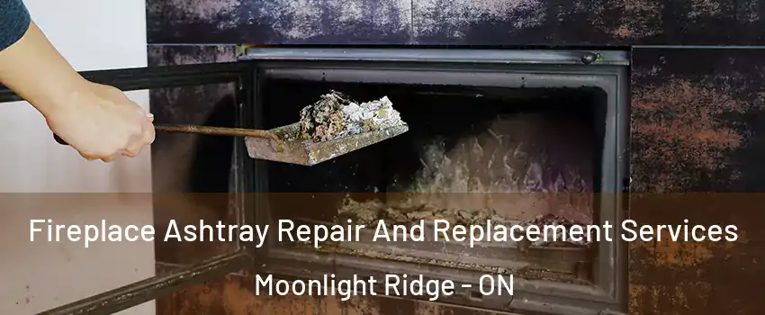  Fireplace Ashtray Repair And Replacement Services Moonlight Ridge - ON
