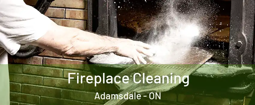  Fireplace Cleaning Adamsdale - ON