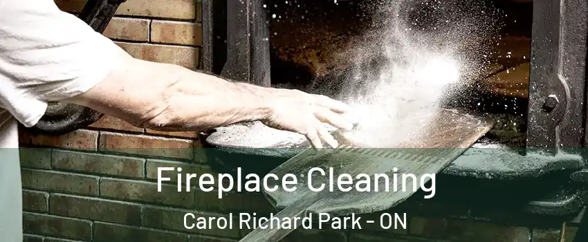  Fireplace Cleaning Carol Richard Park - ON