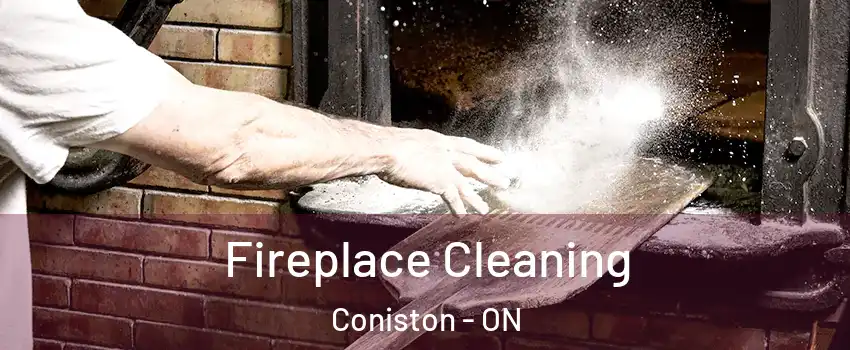  Fireplace Cleaning Coniston - ON