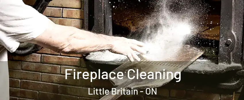  Fireplace Cleaning Little Britain - ON