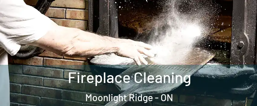  Fireplace Cleaning Moonlight Ridge - ON