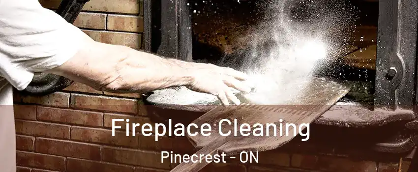  Fireplace Cleaning Pinecrest - ON