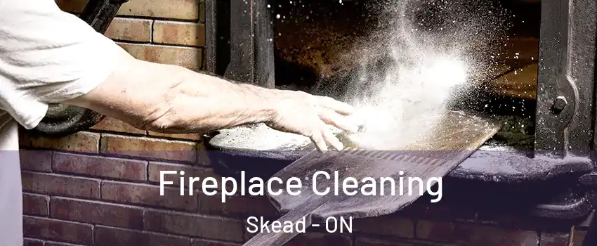 Fireplace Cleaning Skead - ON