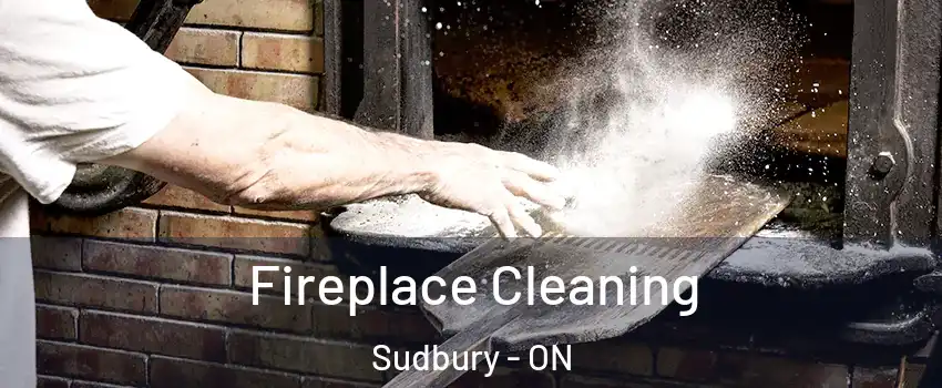  Fireplace Cleaning Sudbury - ON