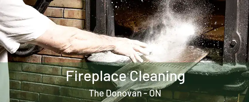  Fireplace Cleaning The Donovan - ON