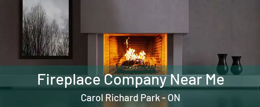 Fireplace Company Near Me Carol Richard Park - ON