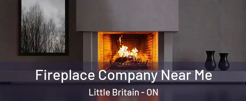 Fireplace Company Near Me Little Britain - ON