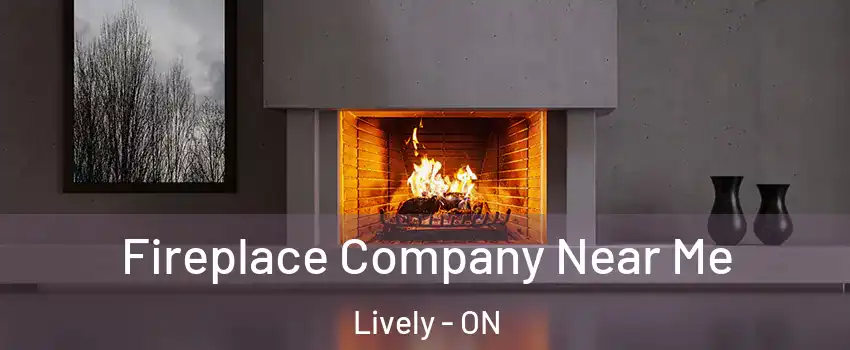  Fireplace Company Near Me Lively - ON