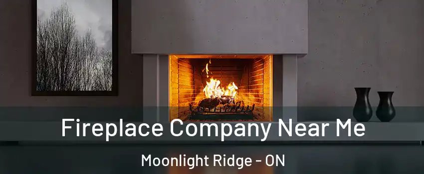 Fireplace Company Near Me Moonlight Ridge - ON