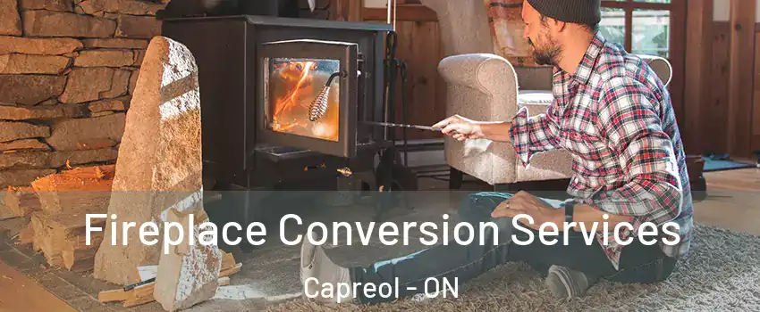  Fireplace Conversion Services Capreol - ON
