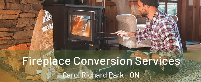 Fireplace Conversion Services Carol Richard Park - ON