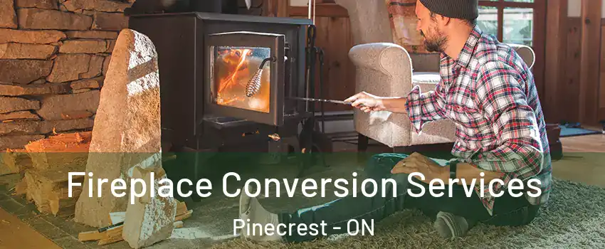  Fireplace Conversion Services Pinecrest - ON