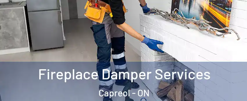  Fireplace Damper Services Capreol - ON
