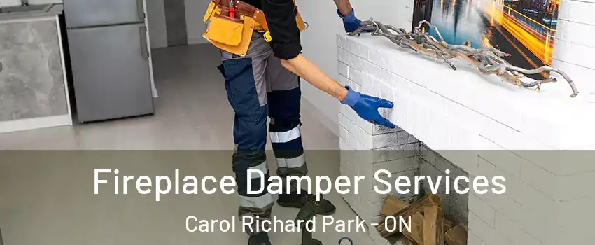 Fireplace Damper Services Carol Richard Park - ON