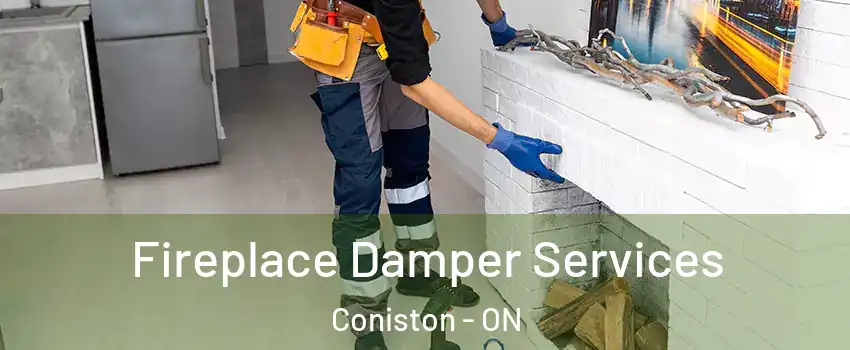  Fireplace Damper Services Coniston - ON
