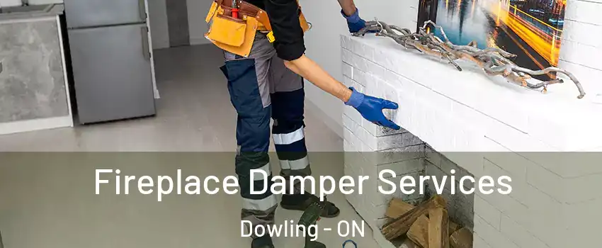  Fireplace Damper Services Dowling - ON