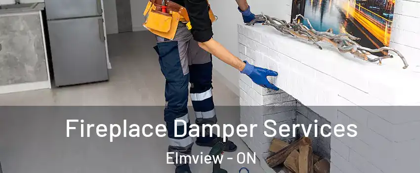  Fireplace Damper Services Elmview - ON