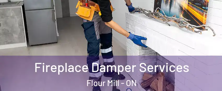  Fireplace Damper Services Flour Mill - ON