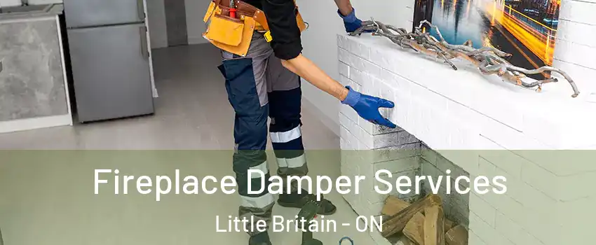 Fireplace Damper Services Little Britain - ON
