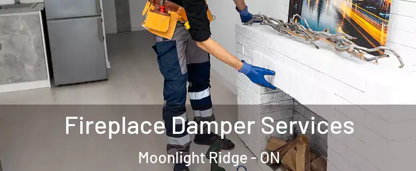Fireplace Damper Services Moonlight Ridge - ON