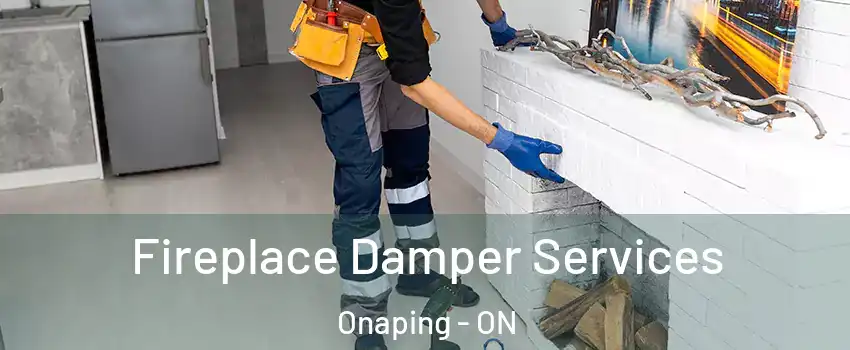  Fireplace Damper Services Onaping - ON