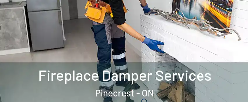  Fireplace Damper Services Pinecrest - ON