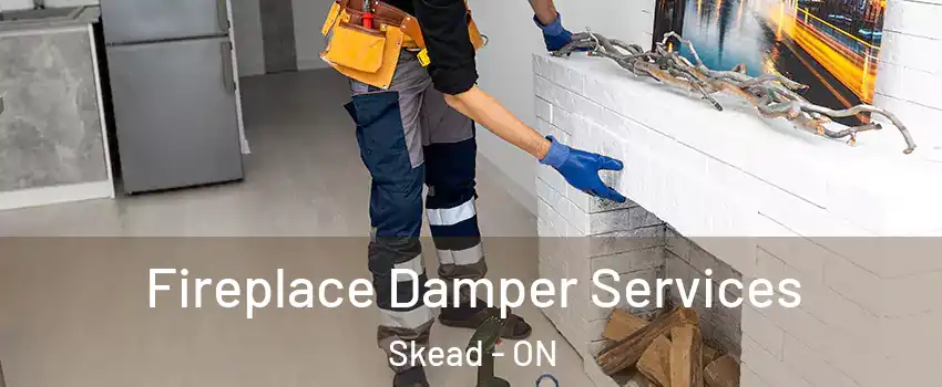  Fireplace Damper Services Skead - ON