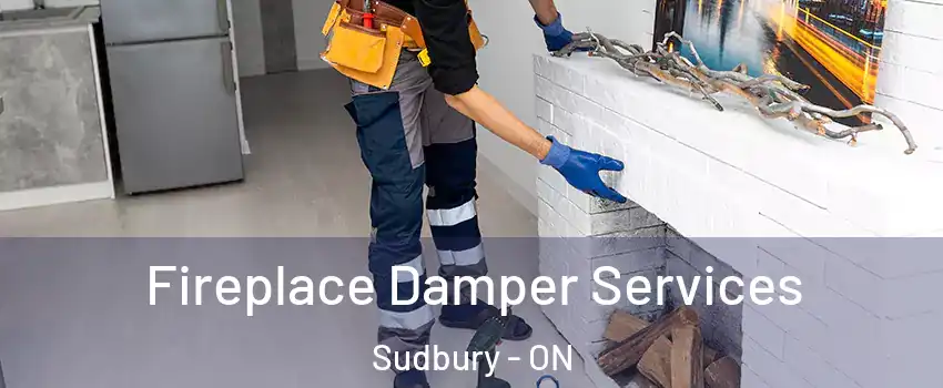  Fireplace Damper Services Sudbury - ON