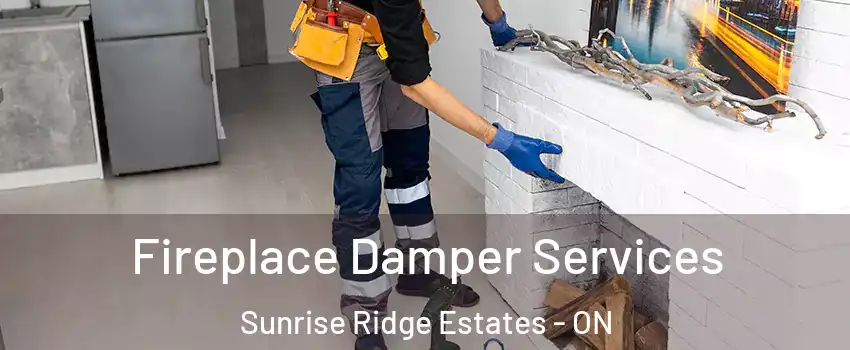 Fireplace Damper Services Sunrise Ridge Estates - ON