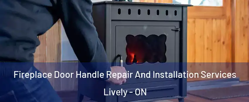  Fireplace Door Handle Repair And Installation Services Lively - ON