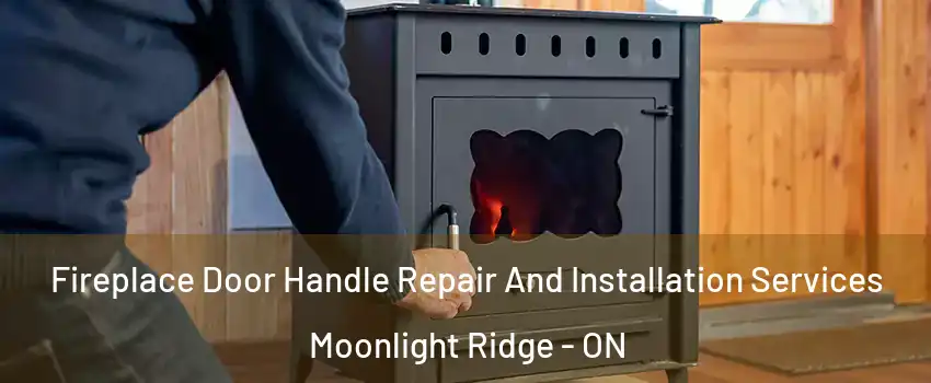  Fireplace Door Handle Repair And Installation Services Moonlight Ridge - ON