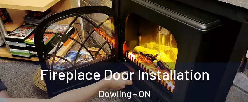  Fireplace Door Installation Dowling - ON