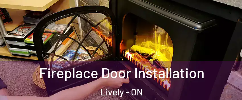  Fireplace Door Installation Lively - ON