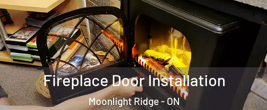  Fireplace Door Installation Moonlight Ridge - ON