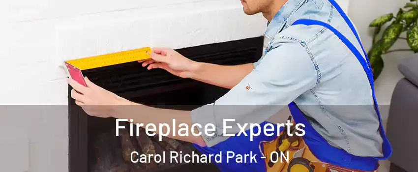  Fireplace Experts Carol Richard Park - ON