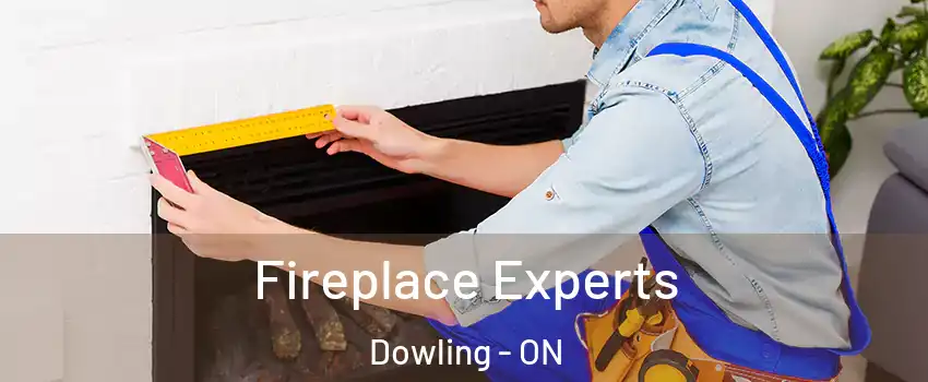  Fireplace Experts Dowling - ON