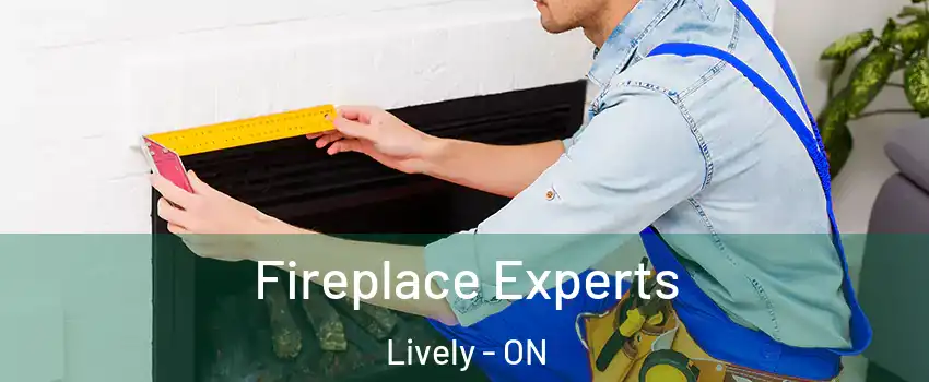  Fireplace Experts Lively - ON