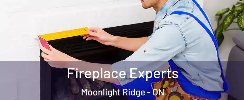  Fireplace Experts Moonlight Ridge - ON