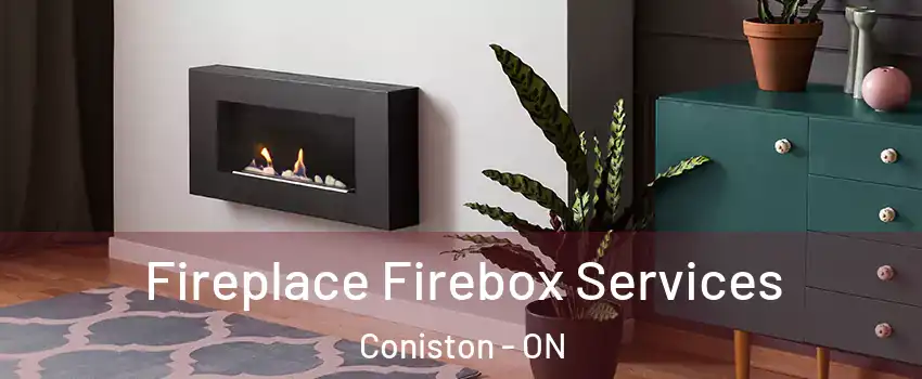  Fireplace Firebox Services Coniston - ON